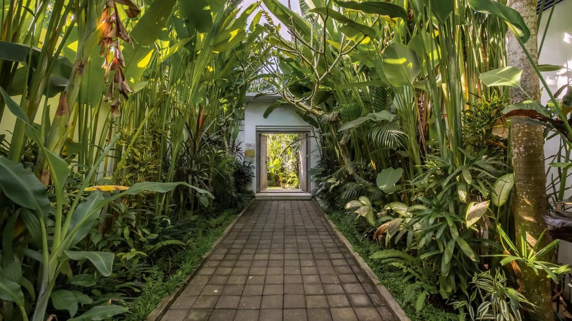 Jacques 5 Villas Complex Ubud